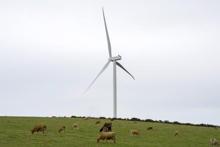 ALPIQ: Radiografía de una compañía energética de éxito