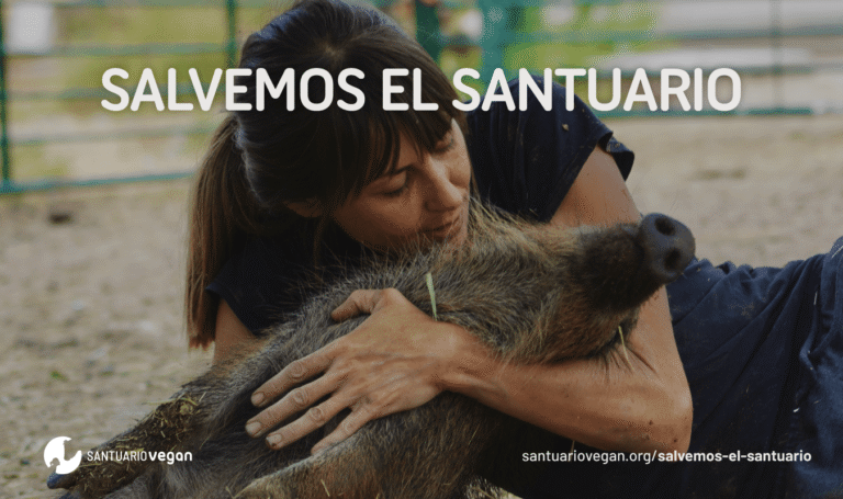 La Fundación Santuario Vegan lanza la campaña «Salvemos el Santuario» para poder mudarse al nuevo terreno