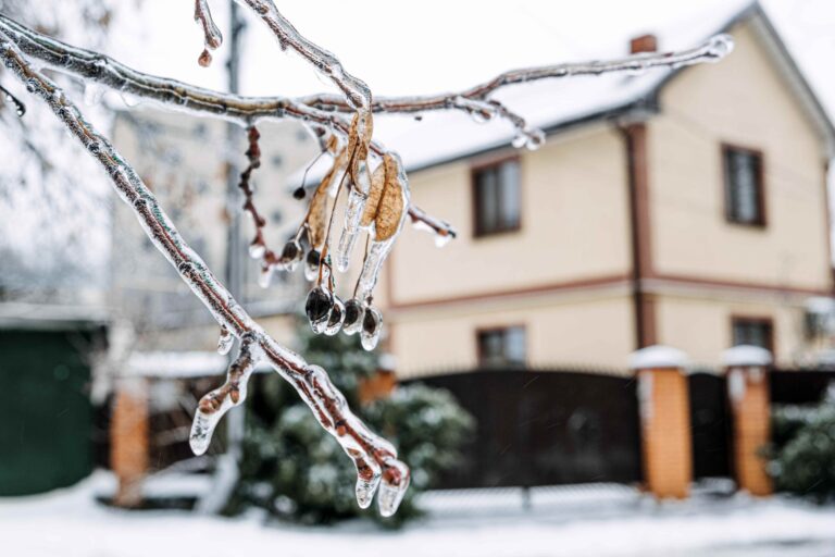 Consejos para proteger la vivienda del frío y las tormentas, según Allianz Partners