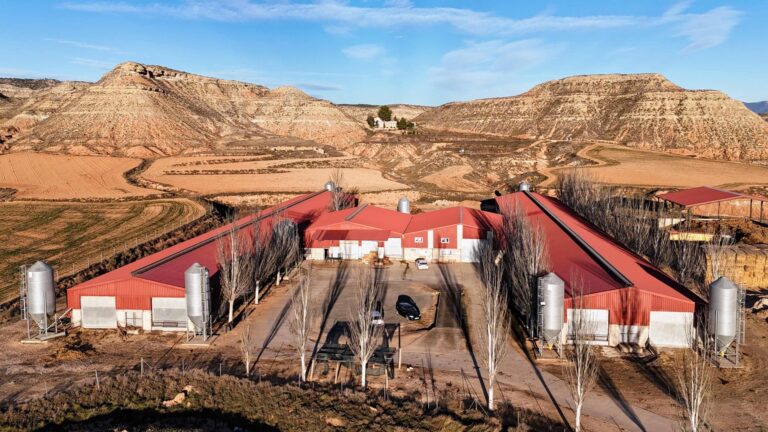 Oviaragón instalará un multiproyecto fotovoltaico con 12 ubicaciones en todo Aragón de la mano de y Tú