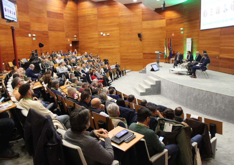 Sevilla analiza su futuro energético en la I Jornada de la Energía