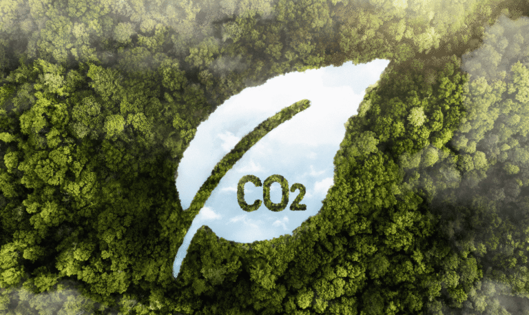 Nueva obligación para grandes empresas: el cálculo de la huella de carbono