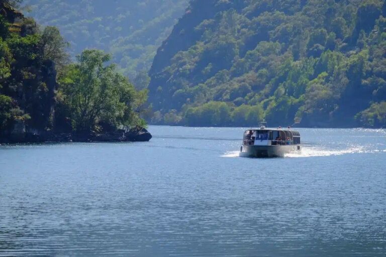 Catamaranes Río Sil inaugura la temporada 2026 con 6.000 reservas y una programación cultural única