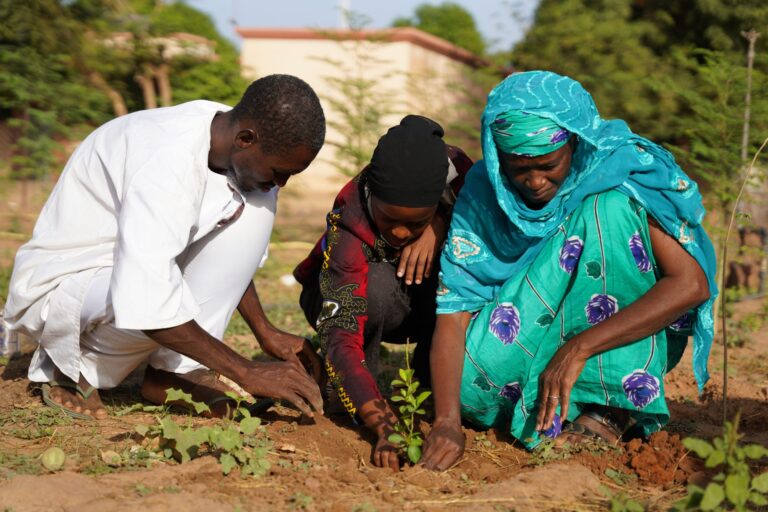 Bamagreen II: Ayuda en Acción y adaPETation® lanzan en Mali un proyecto circular financiado por AECID
