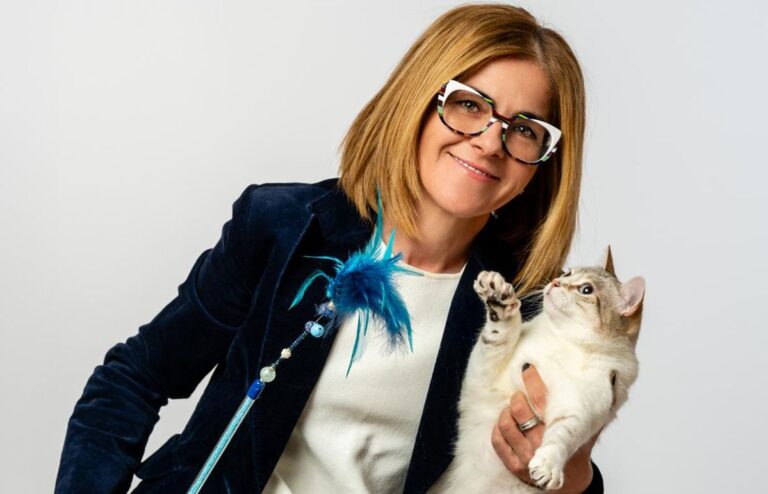 La peluquería felina se consolida como una especialidad muy demandada en el sector de las mascotas