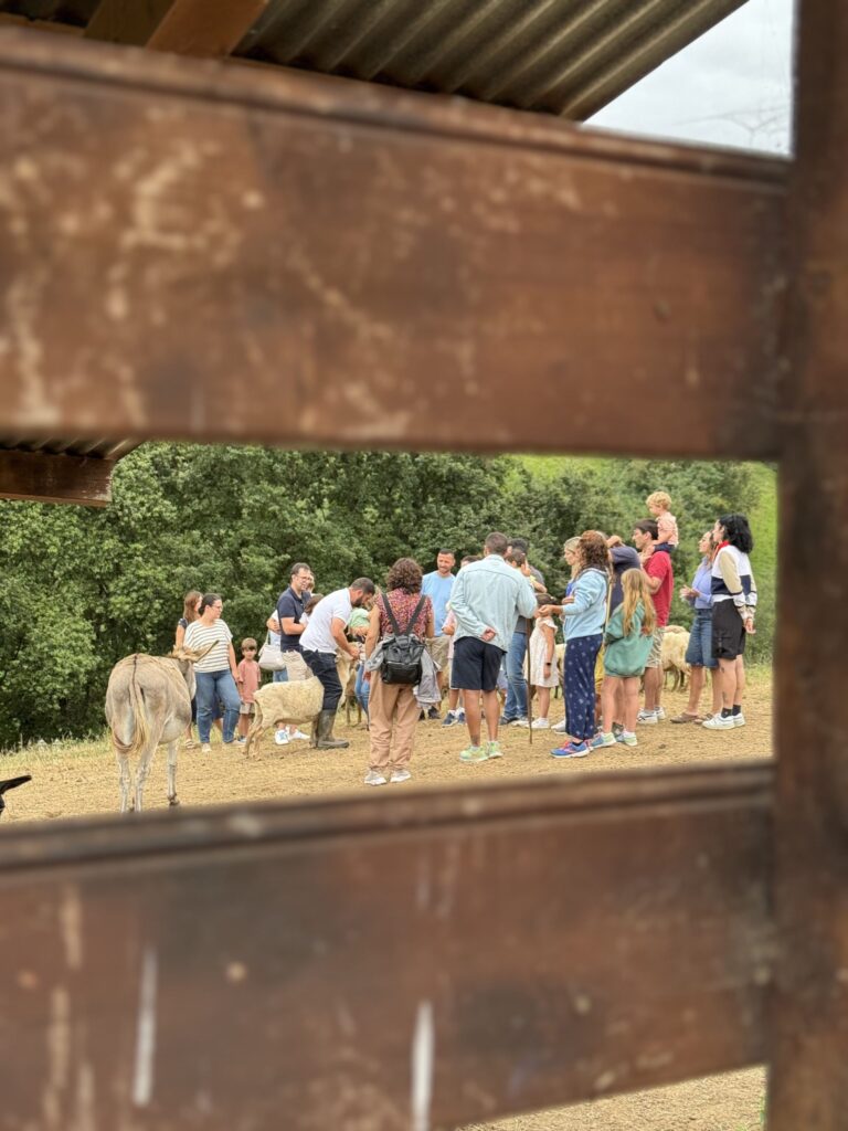 Las visitas a queserías se ponen de moda: turismo con mucho gusto
